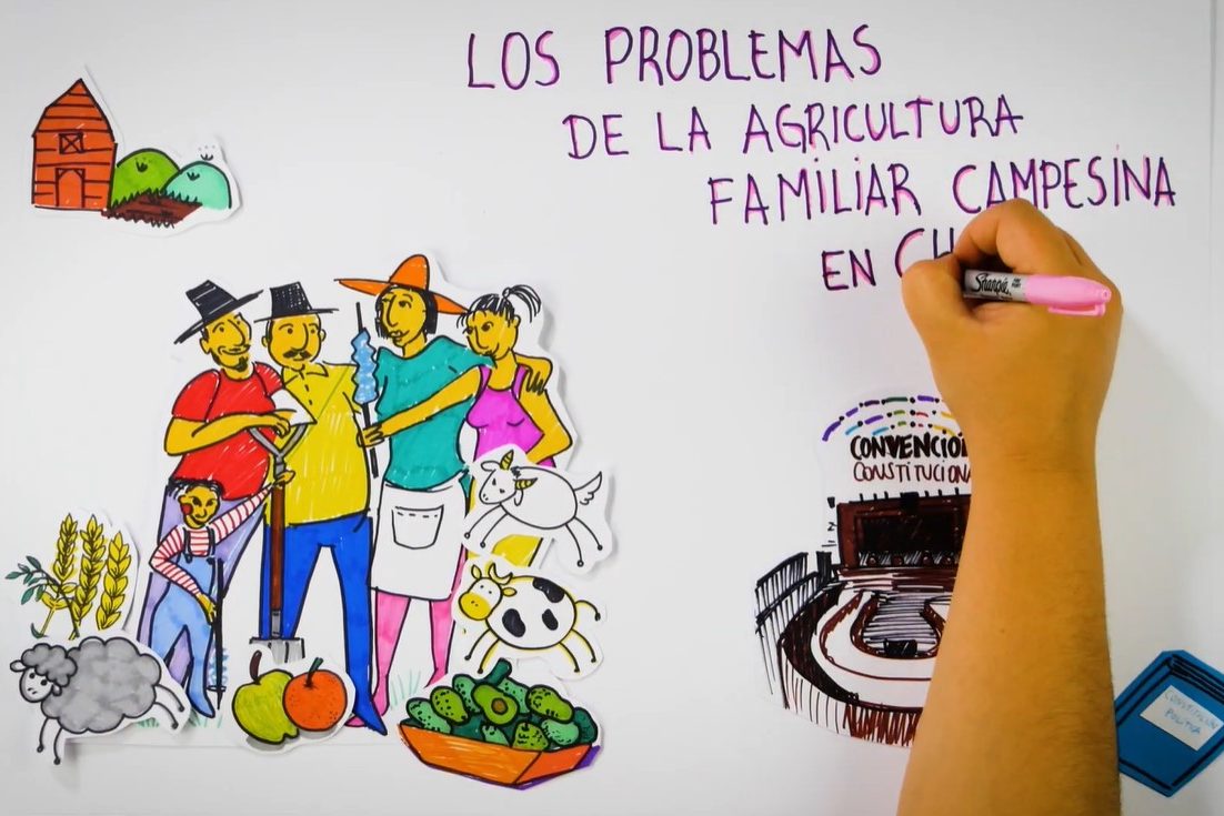 2021-12-dibujo-animado-agricultura-familiar-campesina-1