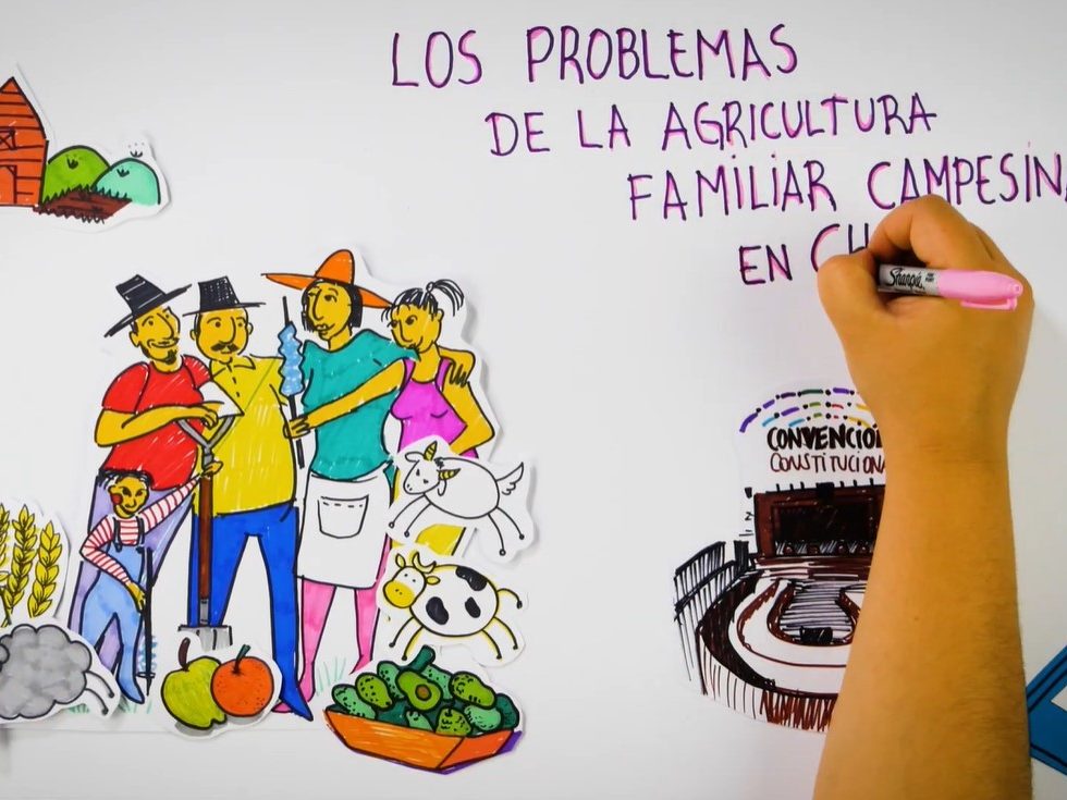 2021-12-dibujo-animado-agricultura-familiar-campesina-1